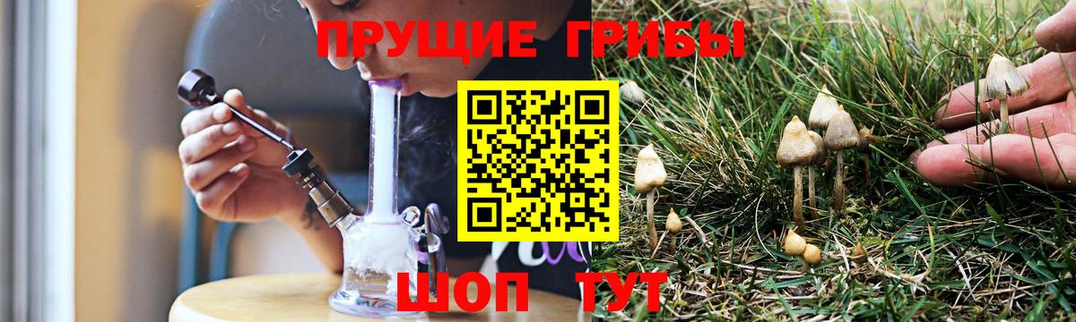 Псилоцибиновые грибы Psilocybine cubensis  Галлюциногенные грибы ЛСД  Кропоткин  Вход с VPN 